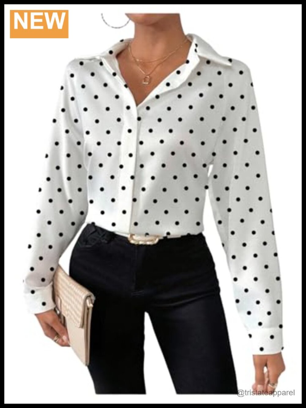 Women's Polka Dot Button Down Long Sleeve Blouse Professional Office Shirt